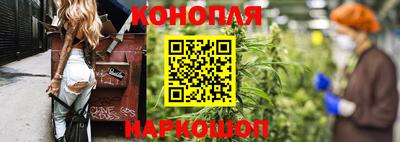 гашик Бузулук